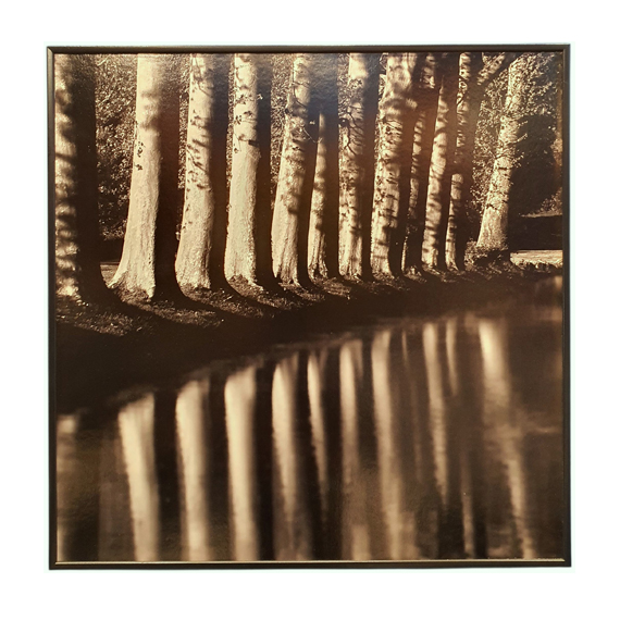 Bekir Kıraç Untitled edisyonlu sanat fotoğrafı, Maison Vuçino koleksiyonunda satışta