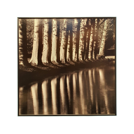 Bekir Kıraç Untitled edisyonlu sanat fotoğrafı, Maison Vuçino koleksiyonunda satışta